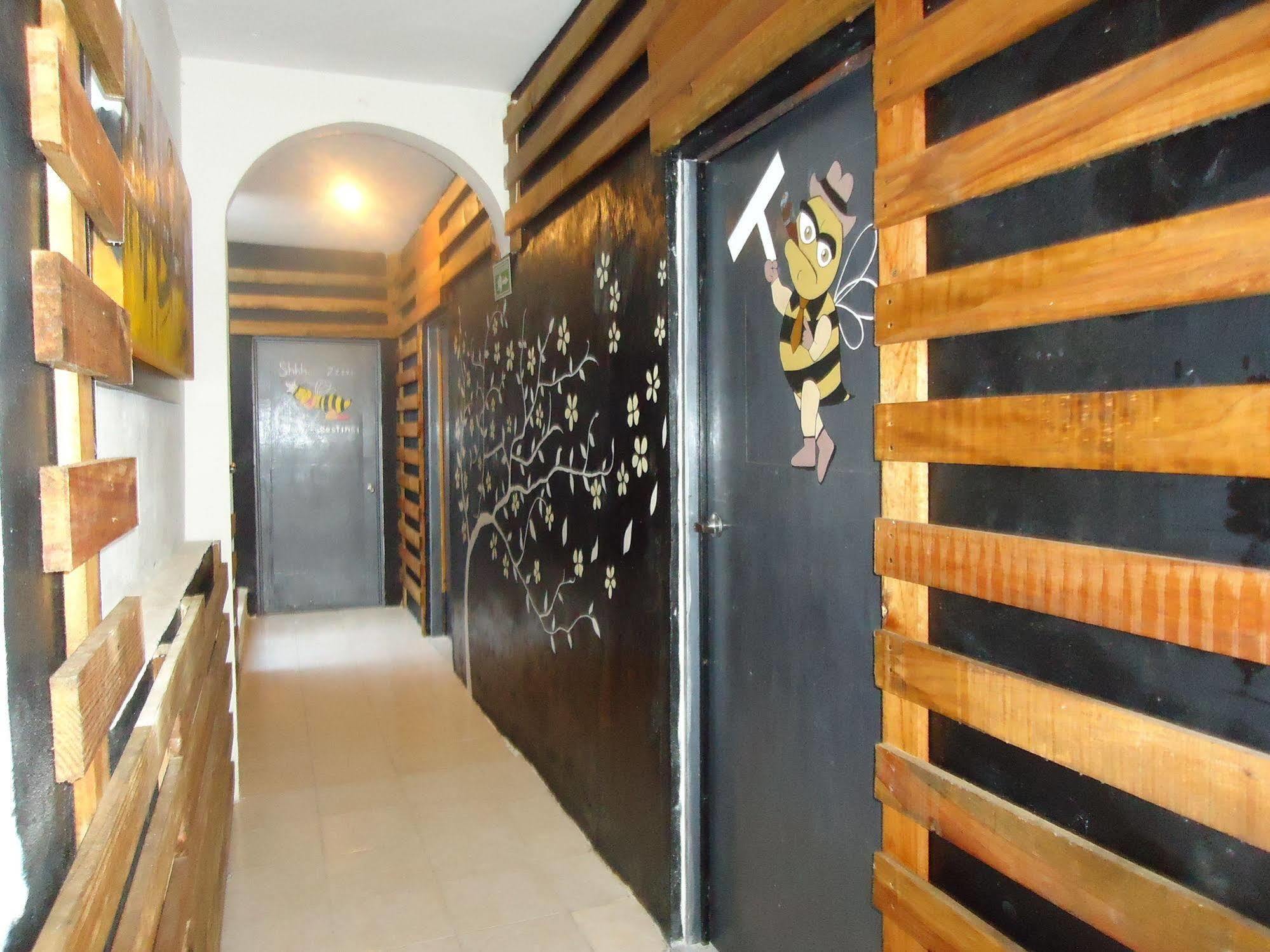 Humble Bumble Hostel Playa del Carmen Esterno foto