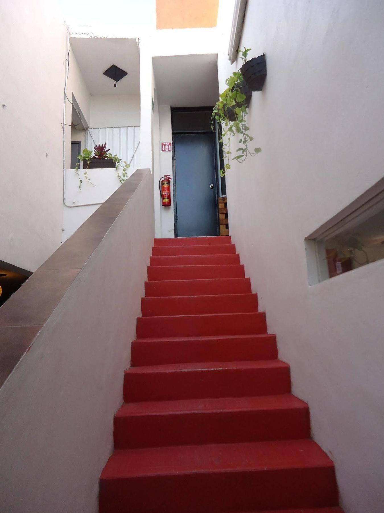Humble Bumble Hostel Playa del Carmen Esterno foto